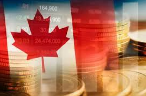 加拿大利率终会下降 经济学家分析降到何种水平？
