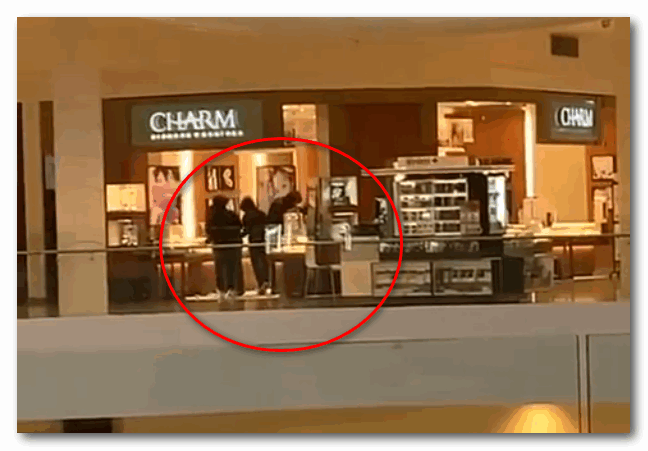 多伦多商场又一家珠宝店被抢 6名蒙面人砸柜猛拿