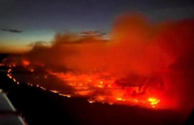 不容乐观 威胁纳尔逊堡山火一夜扩大800公顷