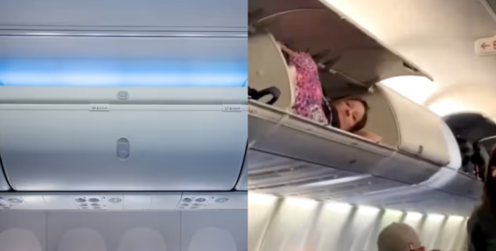 flight.png 图片