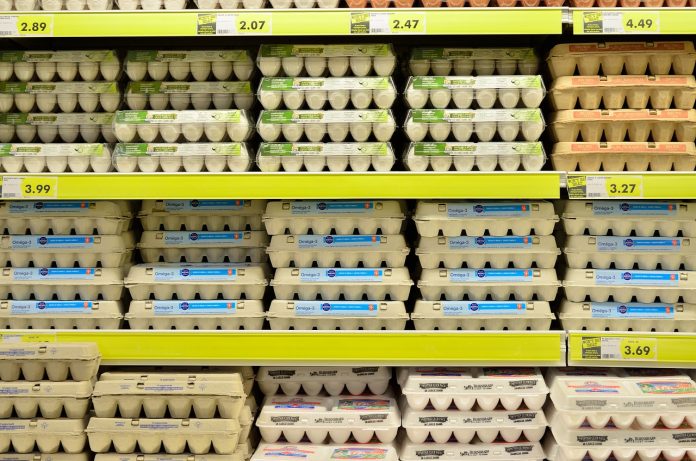 egg-1316407_1280.jpg 图片