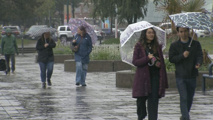 Vancouver-Rain 图片