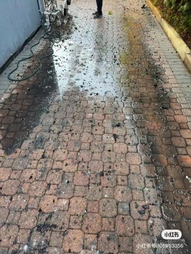 温哥华吊机倒塌引发大火爆炸 华人:我就住隔壁 图片
