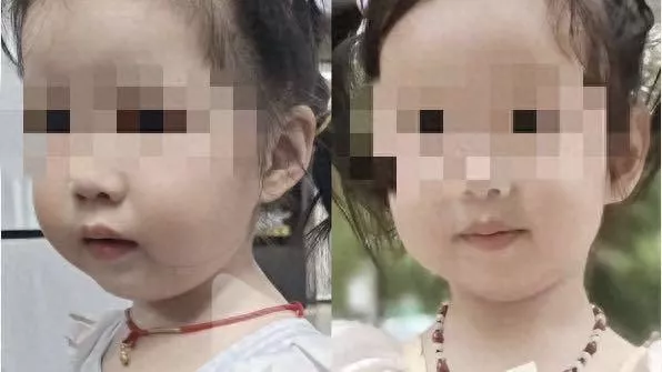 走失女童与闺女一模一样 她崩溃:疑做试管被偷胚胎?