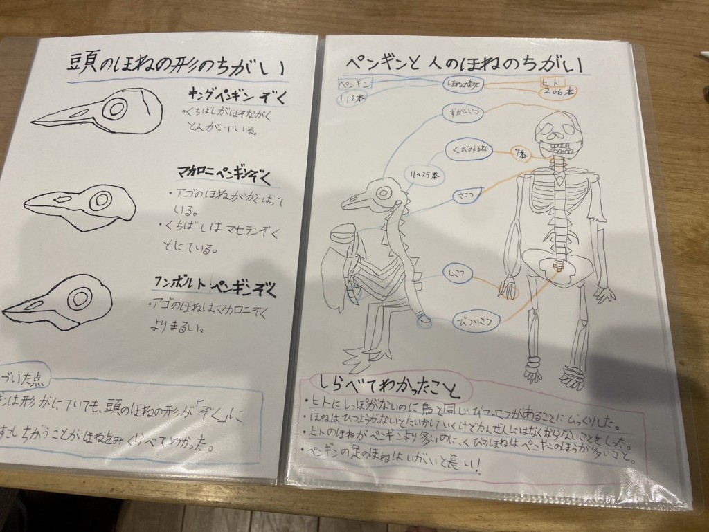 文字报告也图文并茂,内容扎实。 X 文字报告也图文并茂,内容扎实。 X