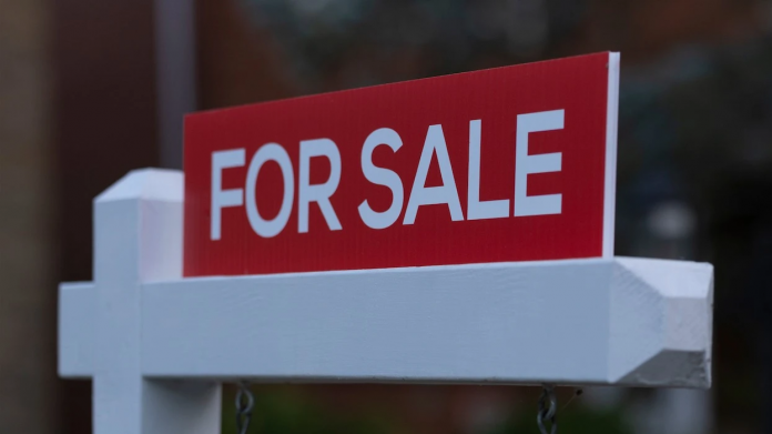 Real Estate Agent 图片