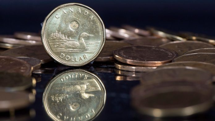 loonie-.jpg 图片