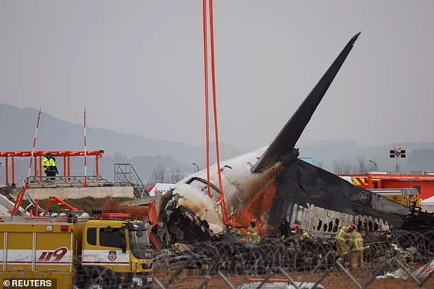 航空专家称韩国坠机本可181人全部获救，但...