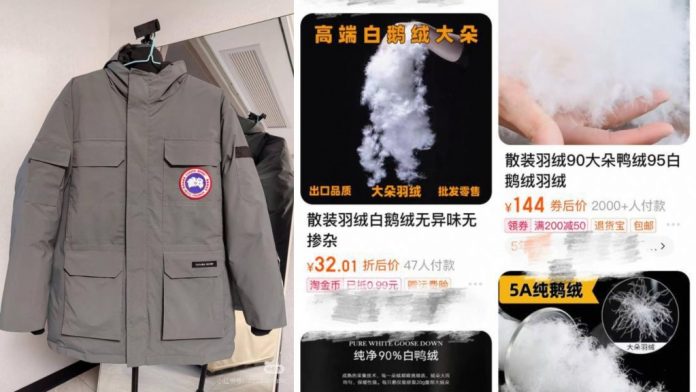 2025010221021626458.jpg 图片
