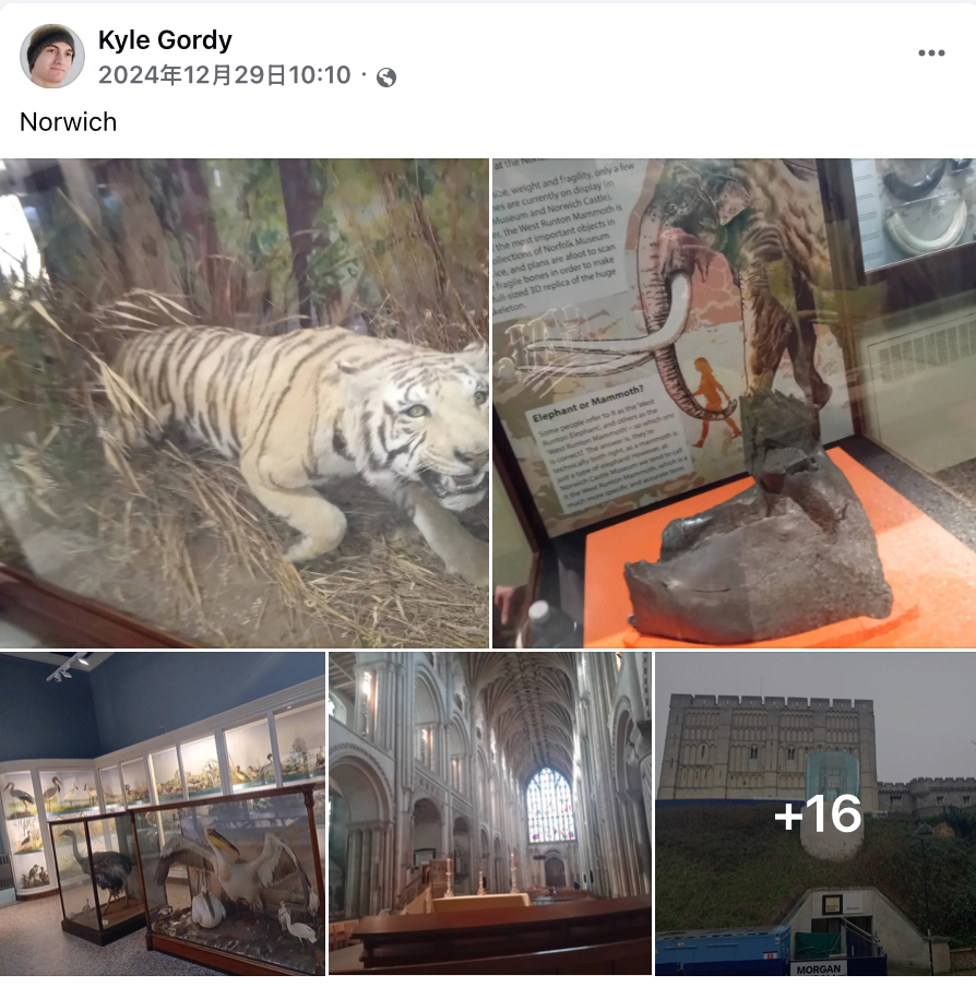 戈迪环游世界播种:英国。 戈迪环游世界播种:英国。