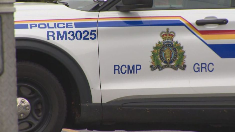 文件 - Ridge Meadows RCMP 警车。