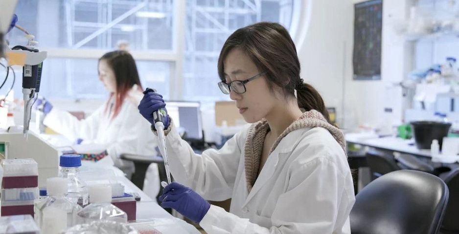 2025年卑诗省最佳多样性雇主发布，他们正在招聘，并提供丰厚的福利