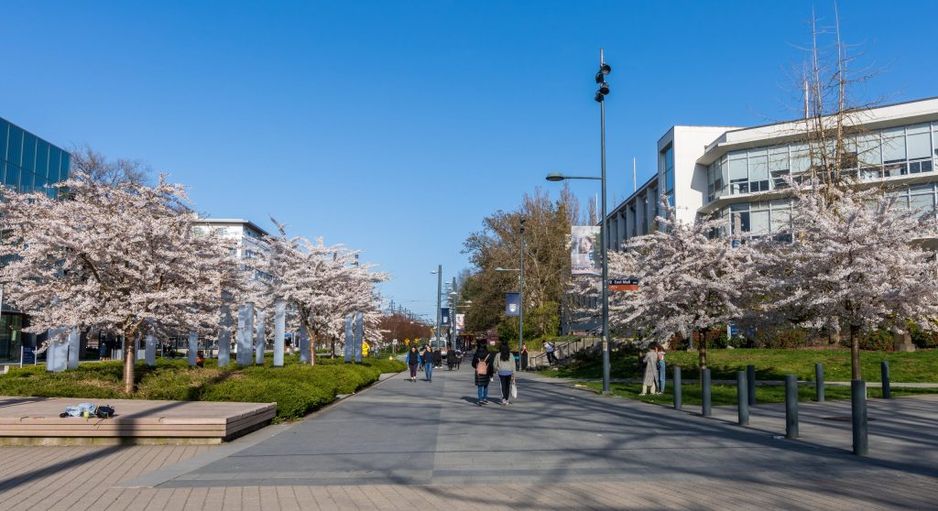 加拿大卑诗省温哥华 - 2021年4月5日：不列颠哥伦比亚大学（UBC）校园。（肖恩）