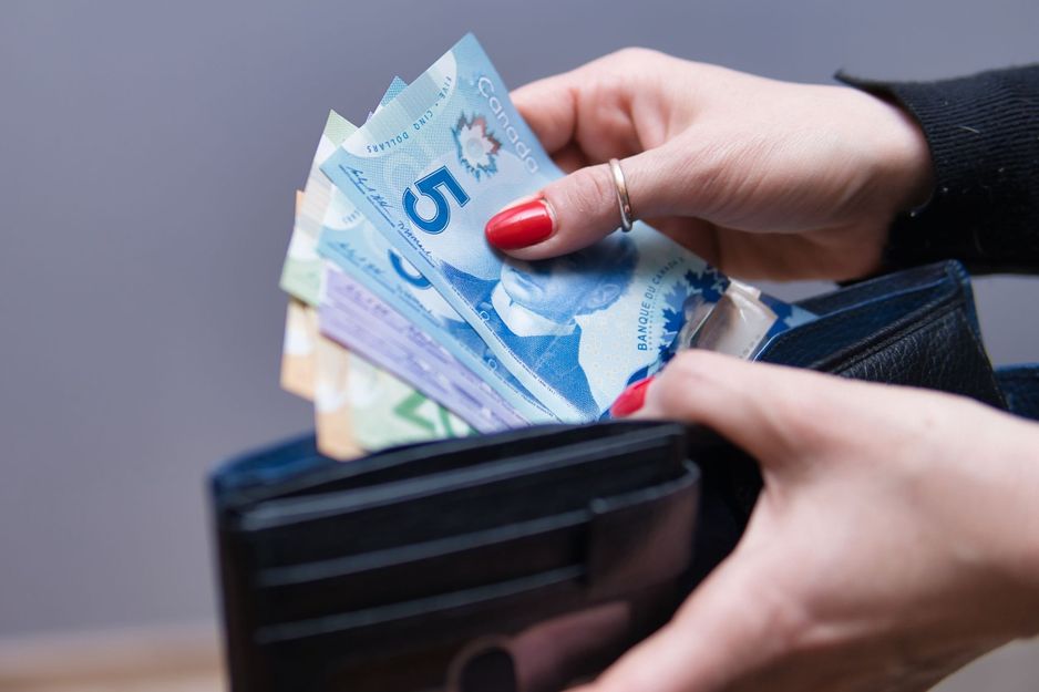 加拿大人可以用来赚取额外现金的合法调查网站