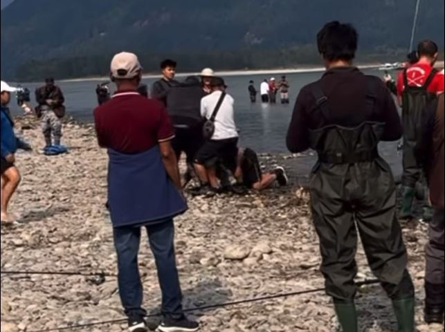 （提交给CityNews）