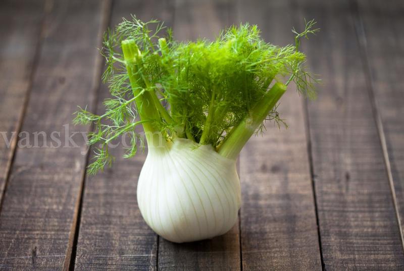 191022094301_fennel.jpg