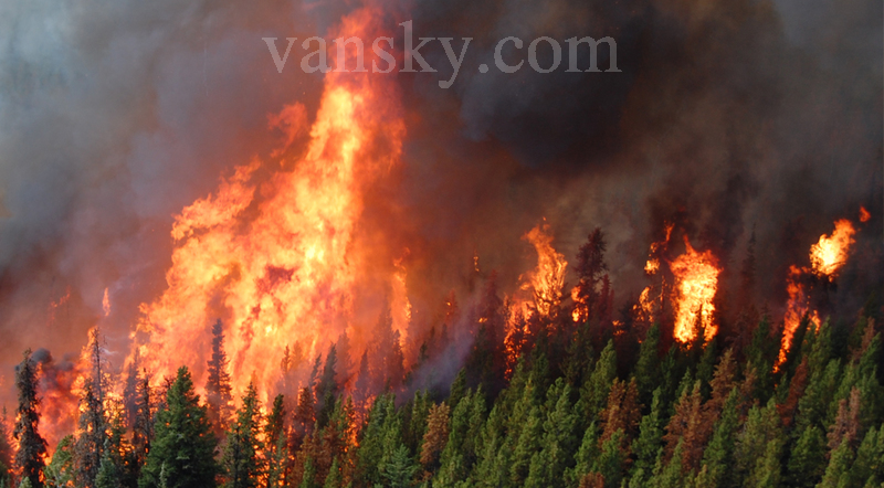 200407205433_wildfire-status.jpg